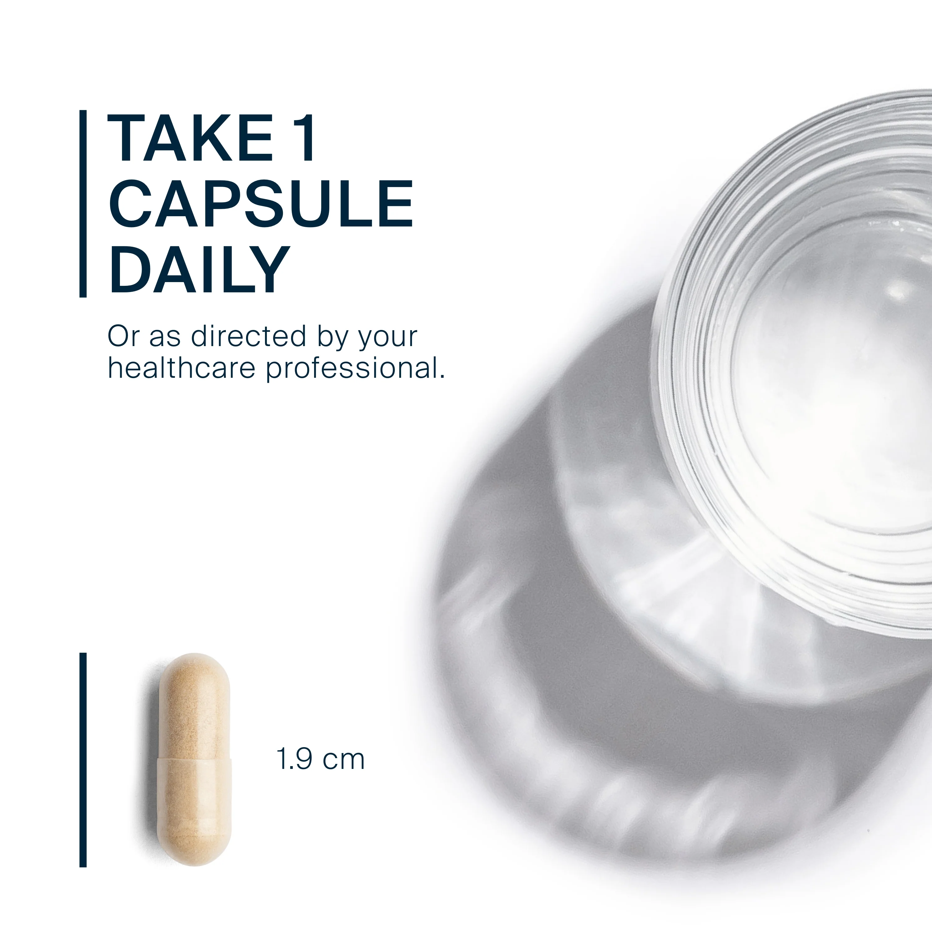 Black Cohosh Extract 250mg - Image 3