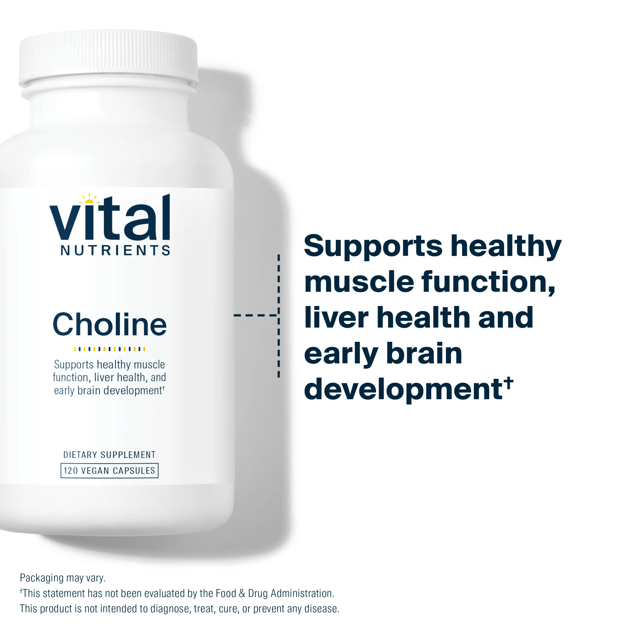 Choline - Image 3