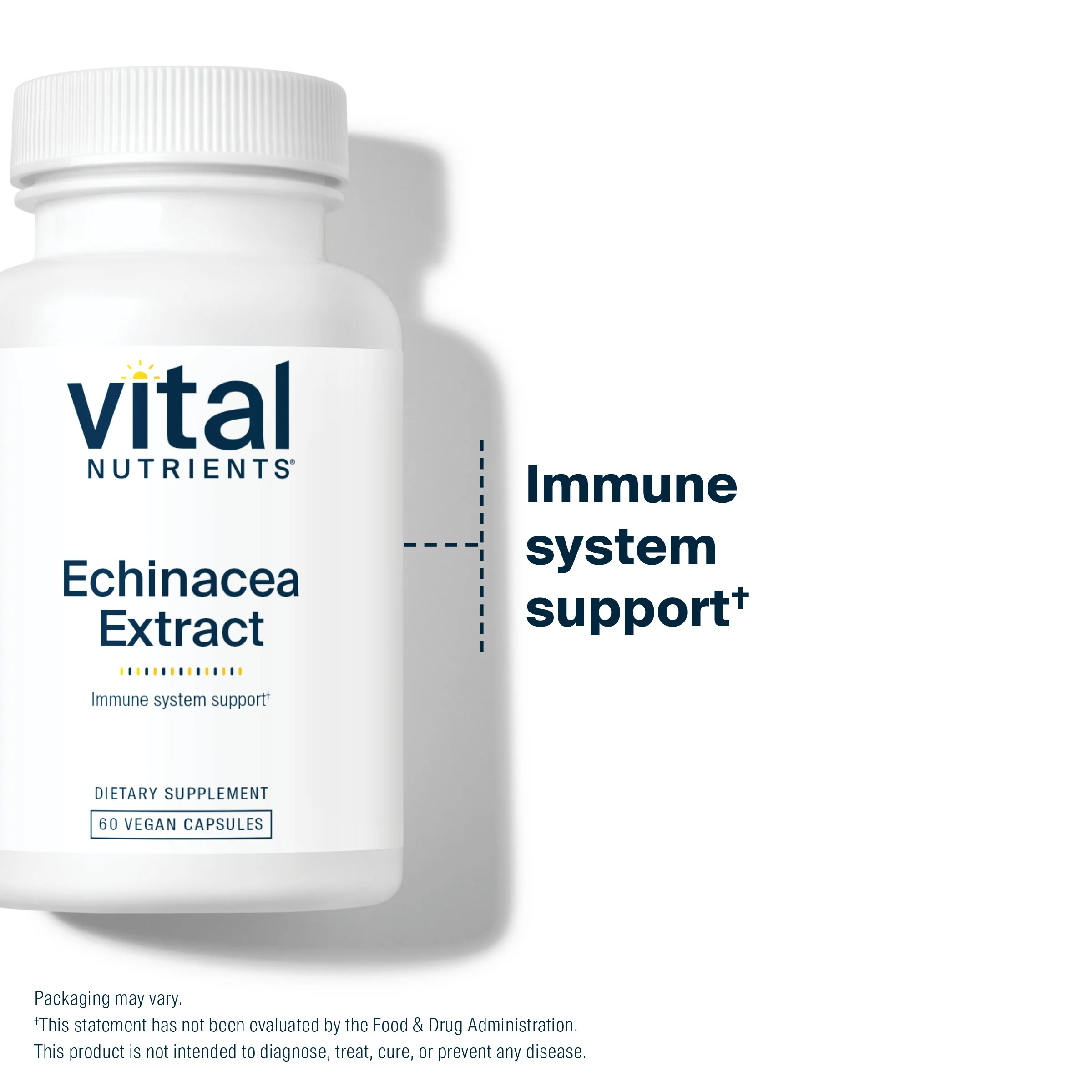 Echinacea Extract 1000mg - Image 3