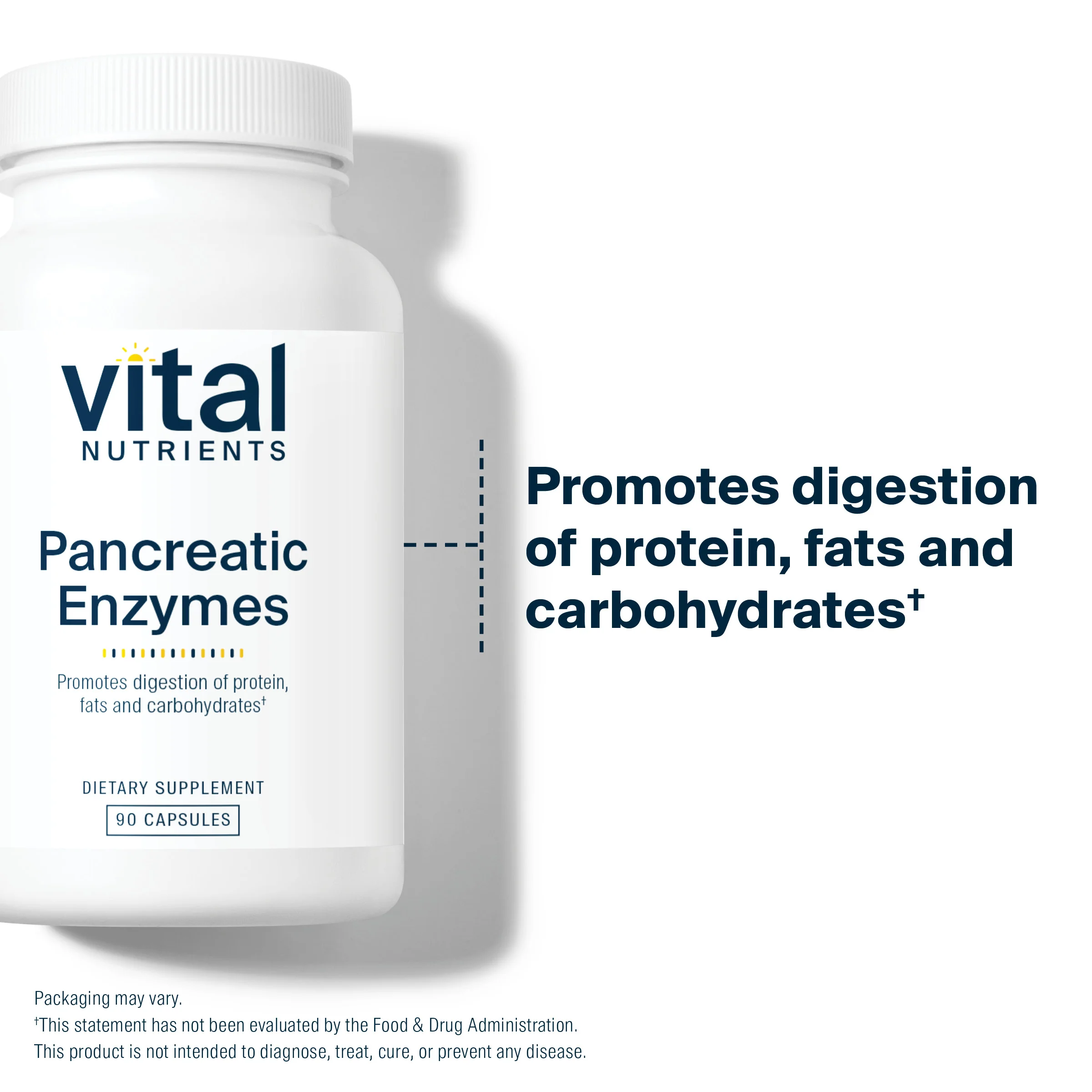 Pancreatic Enzymes - Image 3