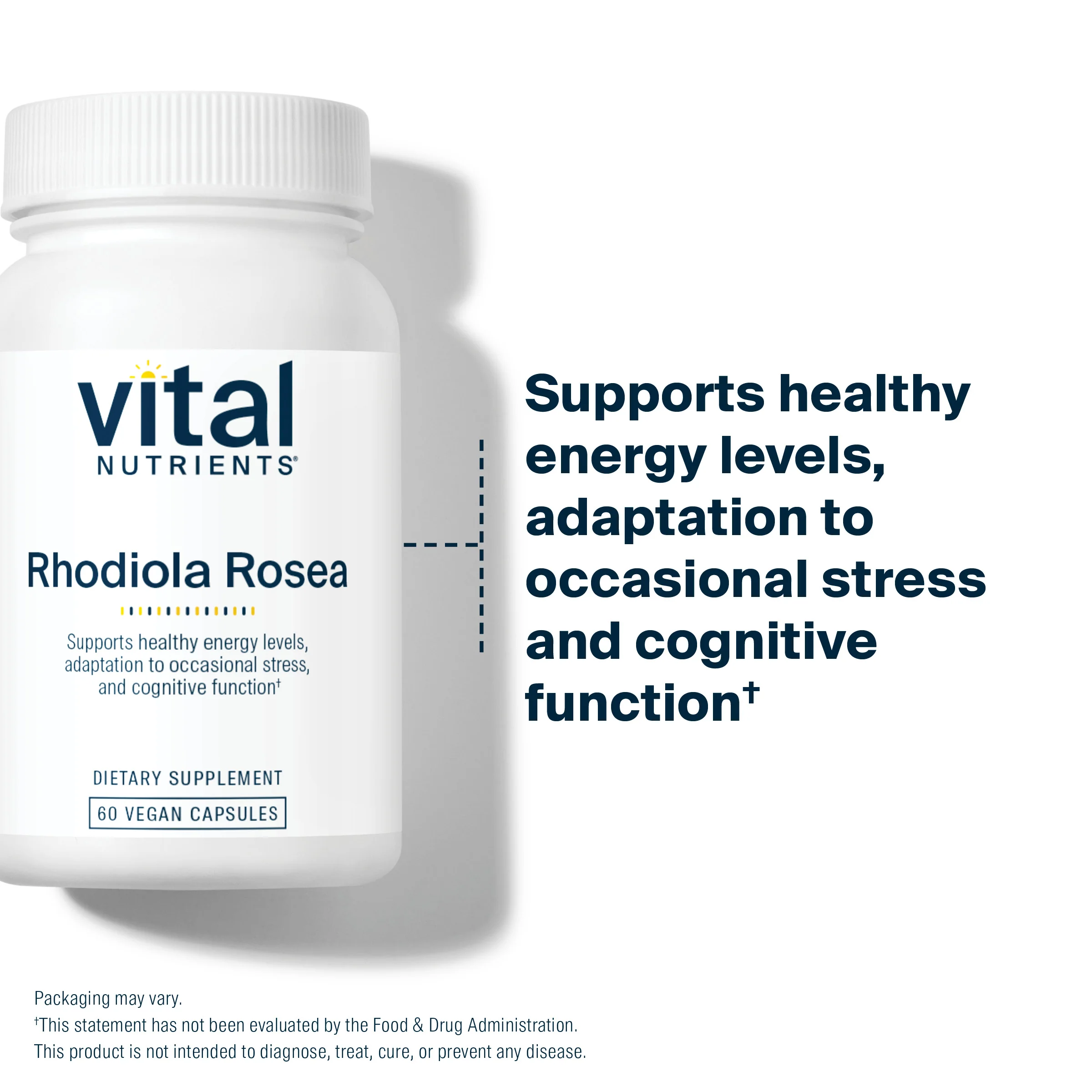 Rhodiola rosea 3% Standardized Extract - Image 3